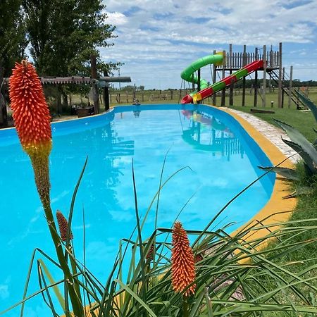 Posada De Campo Mamull Mapu Rancul Екстер'єр фото